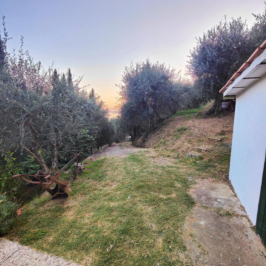 Massaciuccoli Romana Kültér fotó