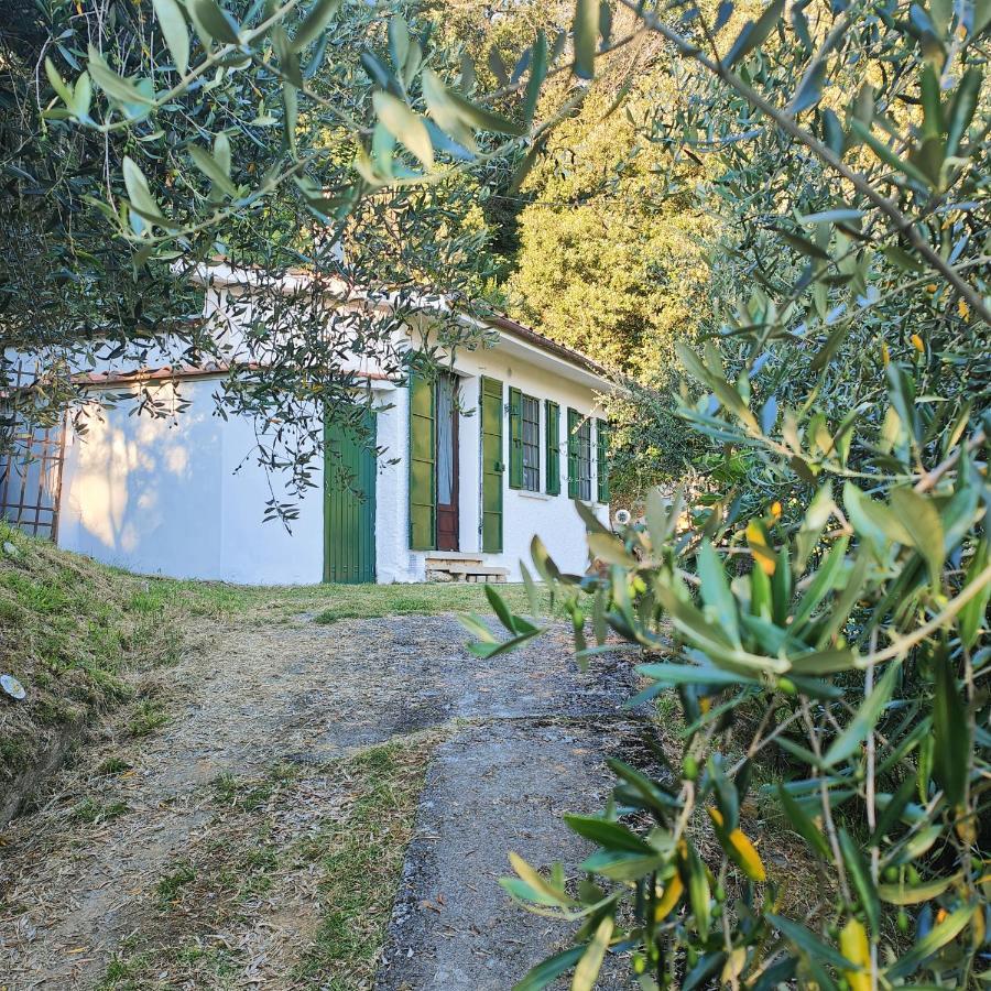 Massaciuccoli Romana Kültér fotó