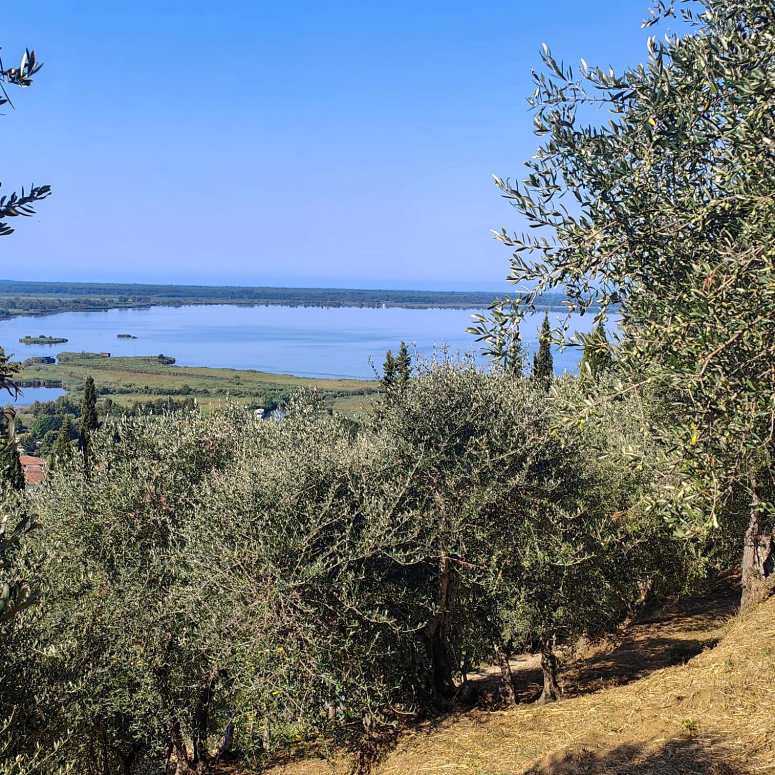 Massaciuccoli Romana Kültér fotó